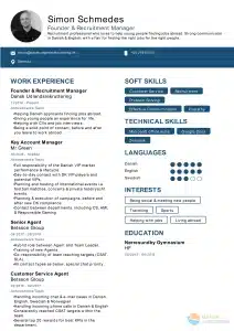 gratis CV redskab eksempel