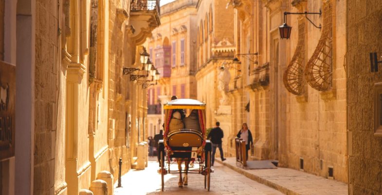 horse in beautiful city in malta