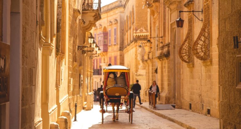 horse in beautiful city in malta