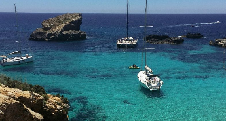 qing-zhang-qinger_zhang-JwXh5XrYBrk-unsplash (1)